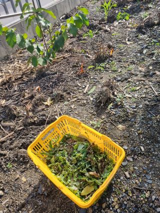 김용대님의 자유주제 · 자유게시판 작성글 사진