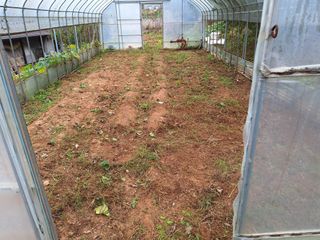 정희군님의 양파 · 영농일지 작성글 사진