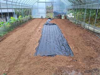 정희군님의 양파 · 영농일지 작성글 사진