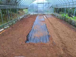 정희군님의 양파 · 영농일지 작성글 사진