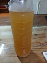 팜모닝 자유주제·자유게시판 게시글 이미지