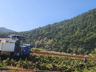 팜모닝회원 바이크농원님의 기타작물 · 영농일지 작성글 사진
