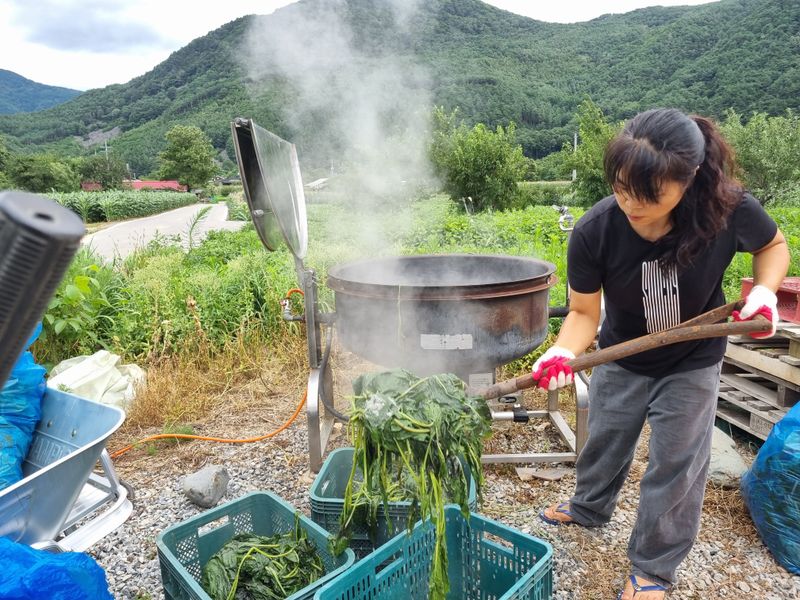 장터 상품 [건곤드레 판매합니다 200g] 썸네일