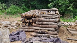 윤기성님의 가을 농사 후 토양 어떻게 관리하세요? · 참여글 작성글 사진