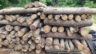 윤기성님의 가을 농사 후 토양 어떻게 관리하세요? · 참여글 작성글 사진