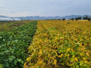 서명석님의 자유주제 · 자유게시판 작성글 사진