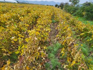 서명석님의 자유주제 · 자유게시판 작성글 사진
