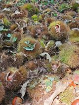 팜모닝 자유주제·자유게시판 게시글 이미지