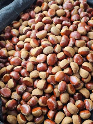 처마밑에추녀님의 자유주제 · 자유게시판 작성글 사진