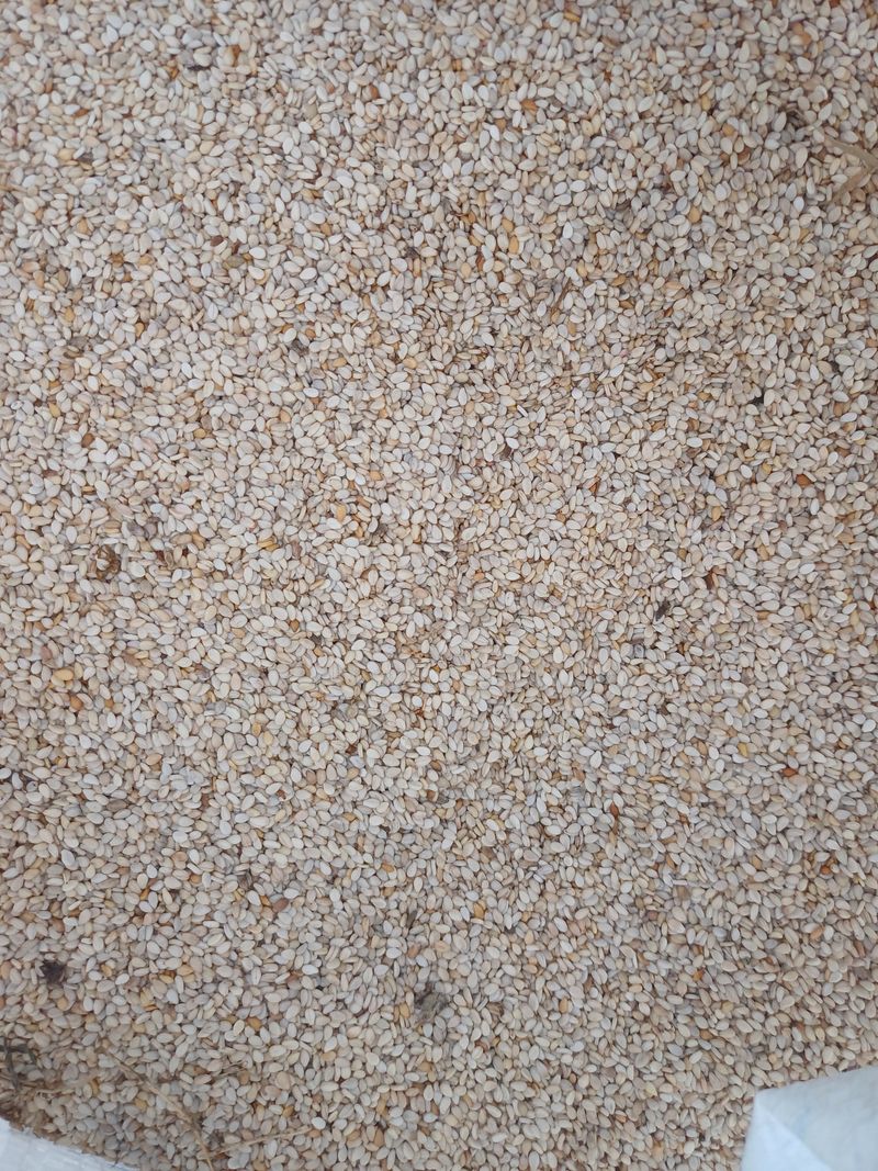 장터 상품 [참깨1말 13kg] 썸네일