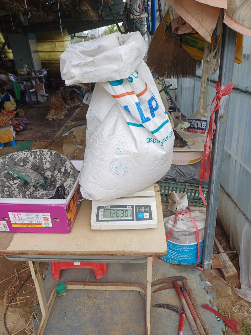 전원수님의 장터 판매 상품 [참깨1말 13kg] 첨부 사진