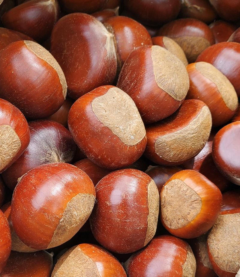 권혜전님의 장터 판매 상품 [1ķg] 첨부 사진