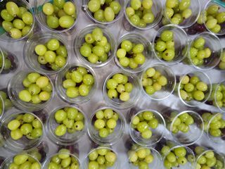 한상숙님의 포도 · 영농일지 작성글 사진