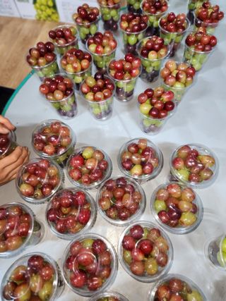 한상숙님의 포도 · 영농일지 작성글 사진