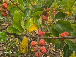 안재열님의 자유주제 · 자유게시판 작성글 사진
