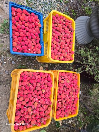 안재열님의 자유주제 · 자유게시판 작성글 사진