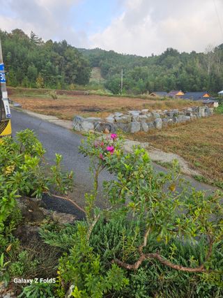 딸기13732님의 자유주제 · 자유게시판 작성글 사진