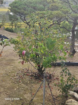 딸기13732님의 자유주제 · 자유게시판 작성글 사진