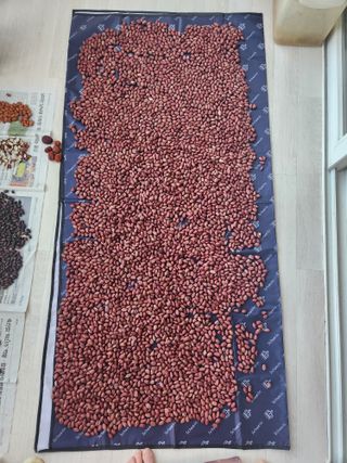 허정양님의 기타작물 · 영농일지 작성글 사진