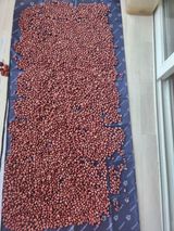 팜모닝 · 게시글 이미지