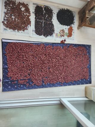 허정양님의 작성글 사진