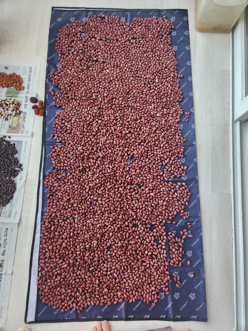 허정양님의 장터 판매 상품 [땅콩판매합니다] 첨부 사진