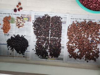 허정양님의 작성글 사진