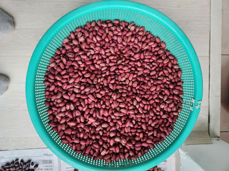 허정양님의 장터 판매 상품 [땅콩판매합니다] 첨부 사진