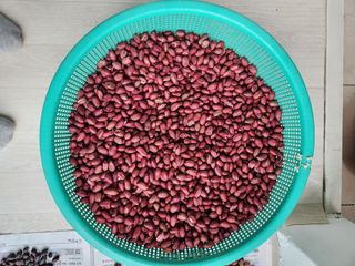 허정양님의 작성글 사진