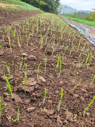박정원님의 자유주제 · 자유게시판 작성글 사진