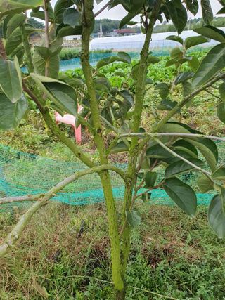 해미초보 김동철님의 자유주제 · 자유게시판 작성글 사진