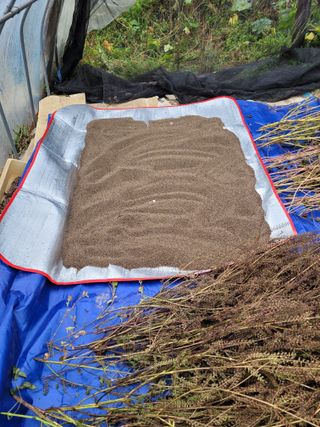 (어울림)님의 자유주제 · 자유게시판 작성글 사진