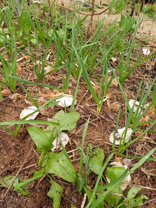 이철우님의 자유주제 · 자유게시판 작성글 사진