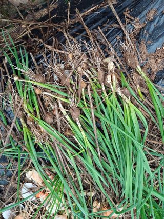 이철우님의 자유주제 · 자유게시판 작성글 사진