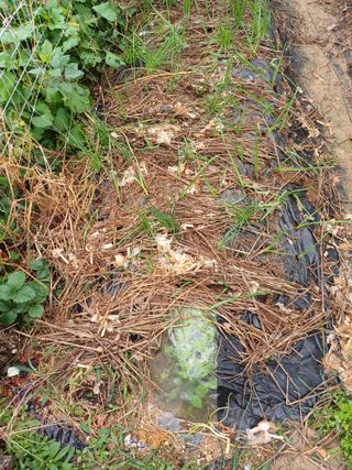 이철우님의 자유주제 · 자유게시판 작성글 사진