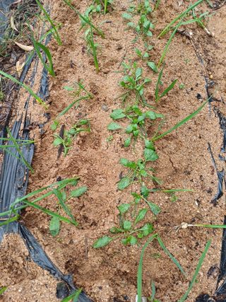 이철우님의 자유주제 · 자유게시판 작성글 사진