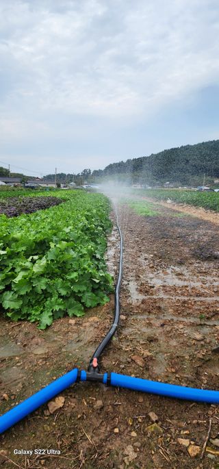 성창준님의 자유주제 · 자유게시판 작성글 사진