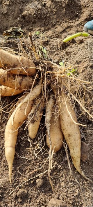 최영호님의 자유주제 · 자유게시판 작성글 사진