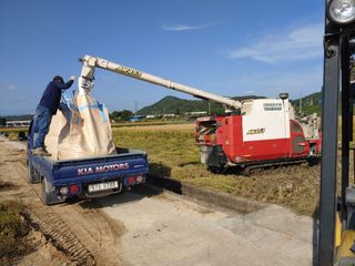 김광섭님의 자유주제 · 자유게시판 작성글 사진