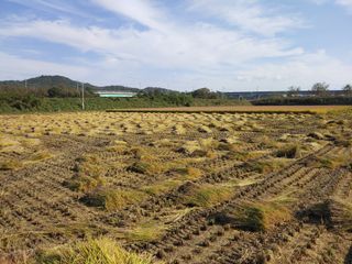 김광섭님의 자유주제 · 자유게시판 작성글 사진