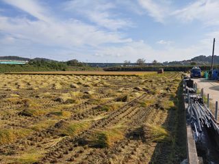 김광섭님의 자유주제 · 자유게시판 작성글 사진