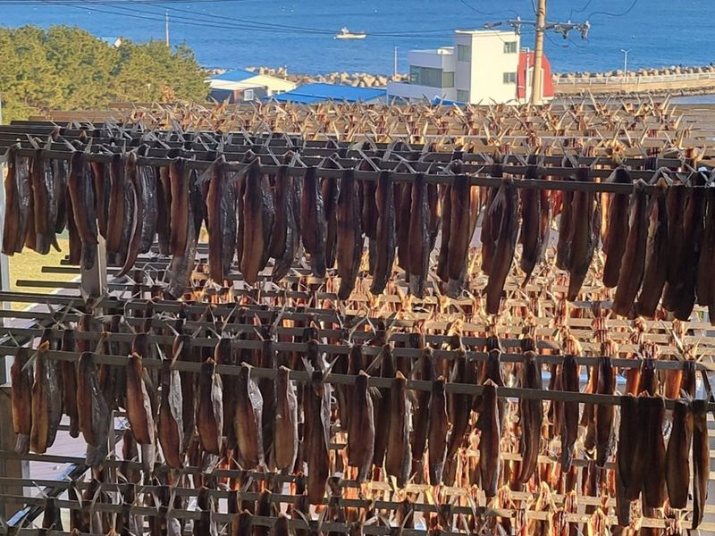 농수사님의 장터 판매 상품 [비린맛 없는 구룡포 해풍 과메기 해초야채세트] 첨부 사진