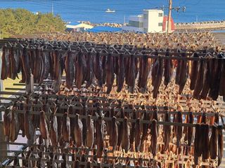 농수사님의 작성글 사진