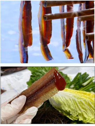 농수사님의 작성글 사진