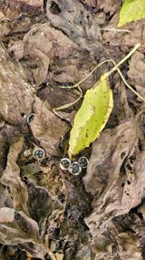 팜모닝 자유주제·자유게시판 게시글 이미지