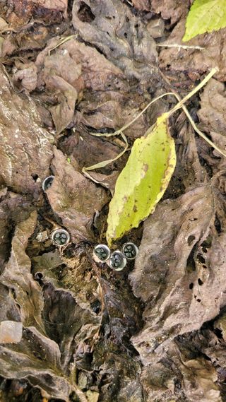 포항 농민66님의 자유주제 · 자유게시판 작성글 사진