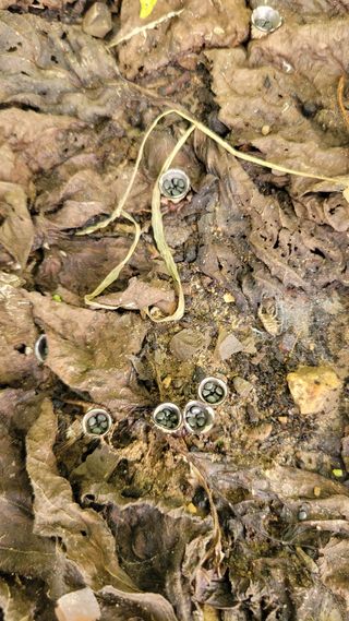 포항 농민66님의 자유주제 · 자유게시판 작성글 사진