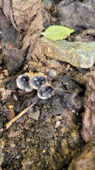 포항 농민66님의 자유주제 · 자유게시판 작성글 사진