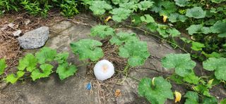 베리첼님의 자유주제 · 자유게시판 작성글 사진