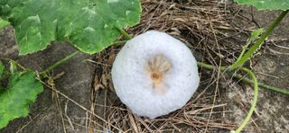 베리첼님의 자유주제 · 자유게시판 작성글 사진